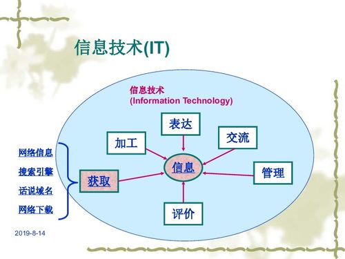 基本能力測(cè)試之信息技術(shù)篇